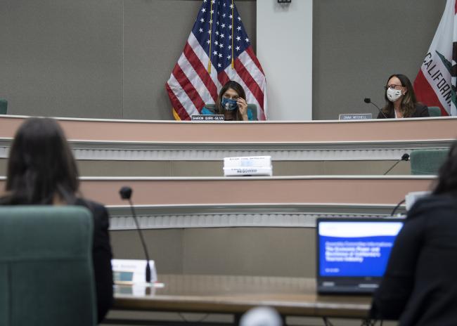Assemblywoman Quirk-Silva hosts Committee Hearing on Tourism