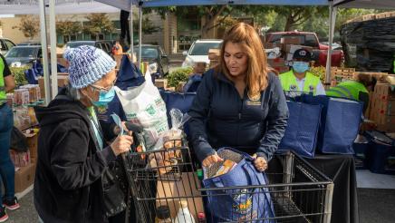 SQS AD65 turkey giveaway