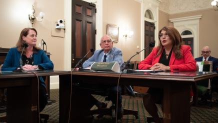 AB 1595 in Veterans Committee