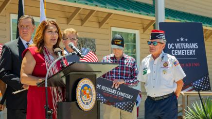 AB 1595 Press Conference