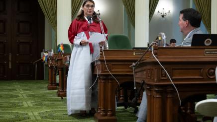 ACR110: Proposal to Recognize Hanbok Day