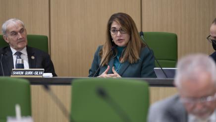 Assembly Budget Committee