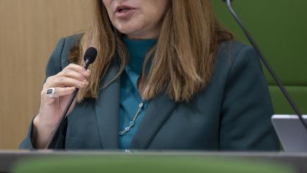 Assembly Budget Committee