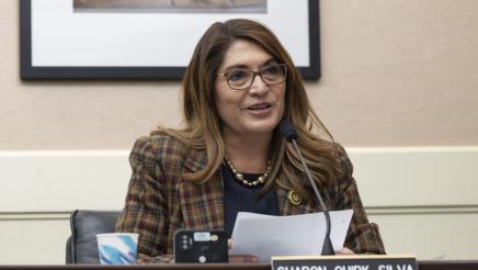 Budget Sub 5-JEDE Joint Hearing